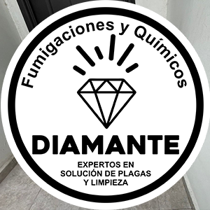 Prevención constante